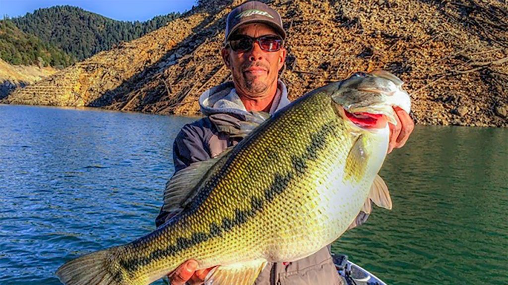 Bass