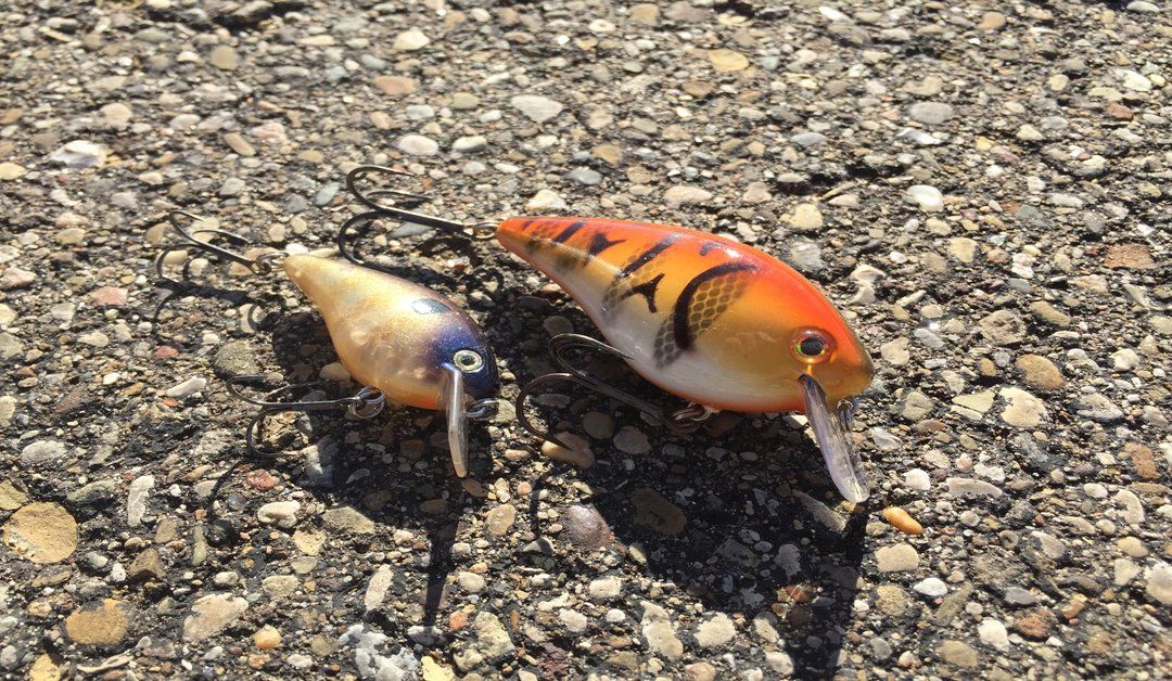 Big Bait Primer – When And Where And How To Throw Oversized Lures
