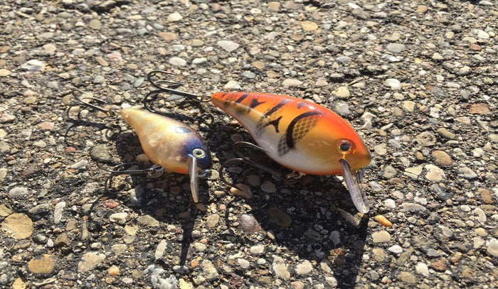 Big Bait Primer – When And Where And How To Throw Oversized Lures