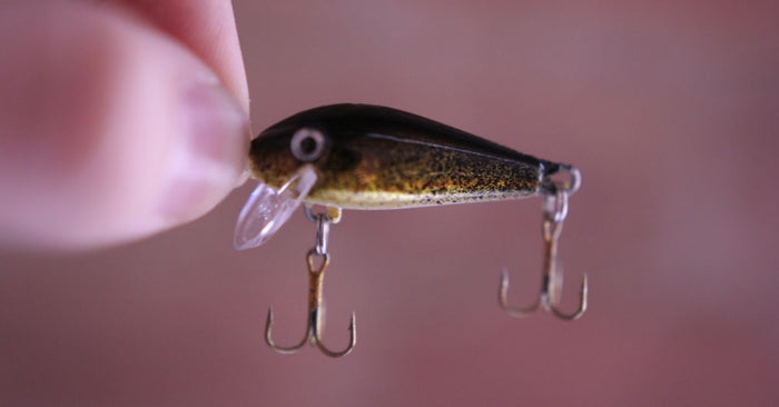 Crankbaits For Panfish: How To Power Fish The Little Guys