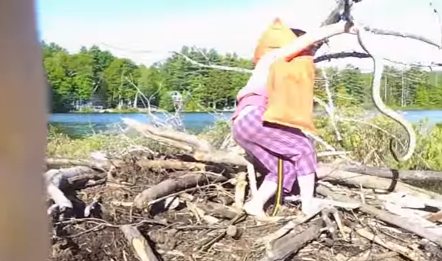 Little Girl Finds Gigantic Snake, Shows No Fear