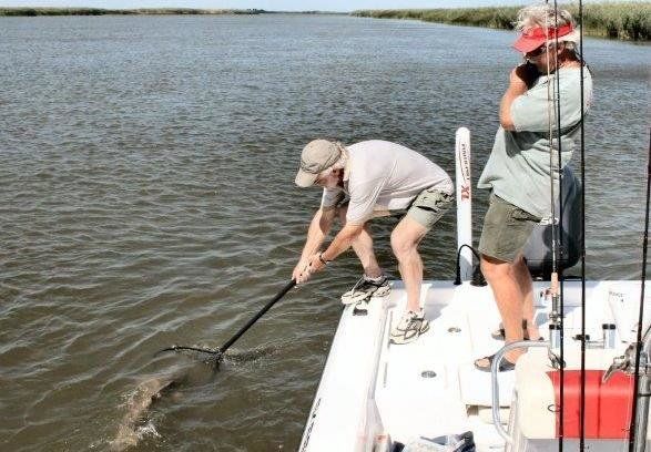 How To Net & Gaff Saltwater Gamefish