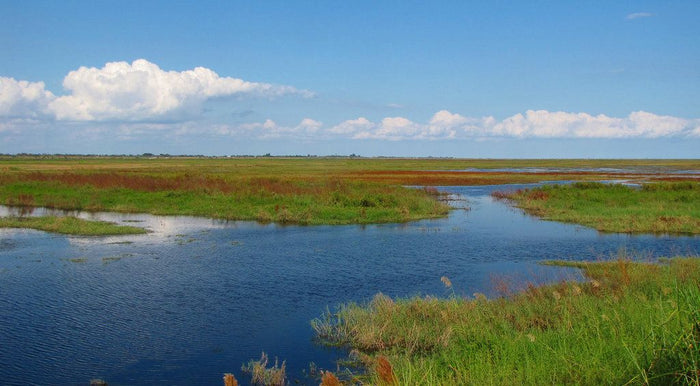 The 10 Best Places To Fish In The South