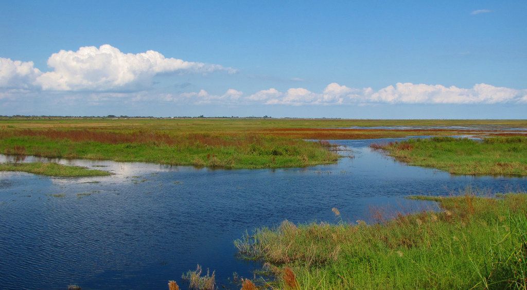 Best Florida Lakes To Target Winter Trophy Bass