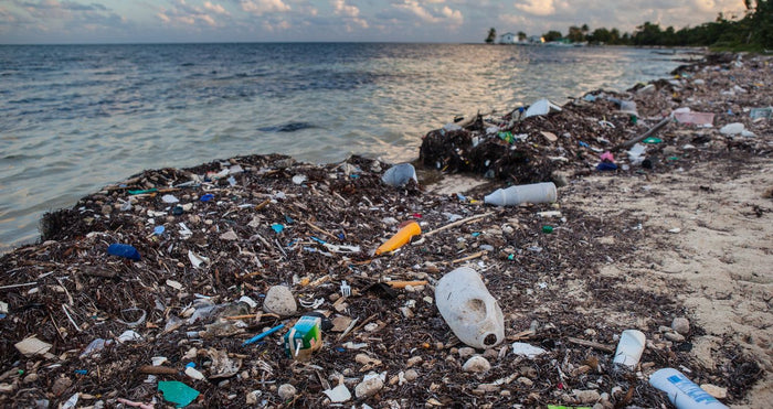 #MTBCleansUp - Help Us Clean Up Our Fishing Waters