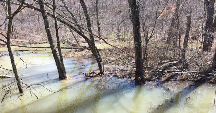 How To Find And Fish Brush Piles