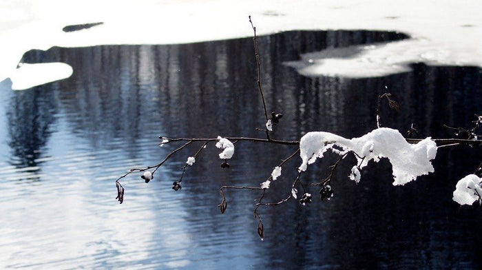 3 Places To Look For Ice Out Bass In The Early Spring