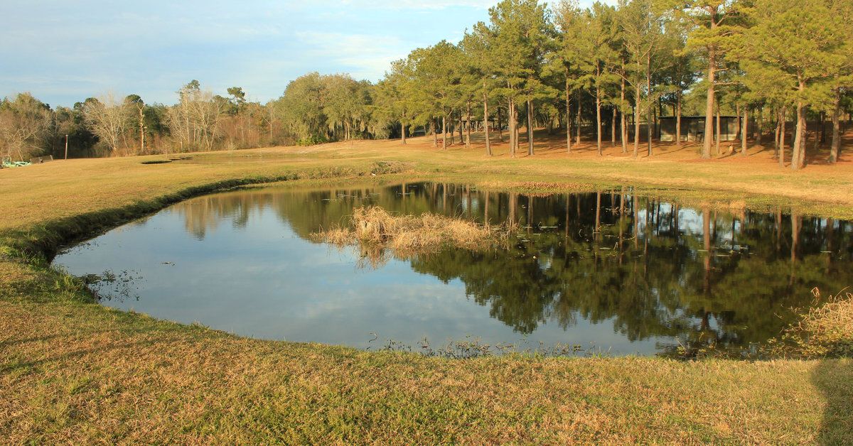 In Appreciation Of Pond Fishing: A National Pasttime