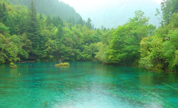 3 Pro Tips For Fishing In The Rain