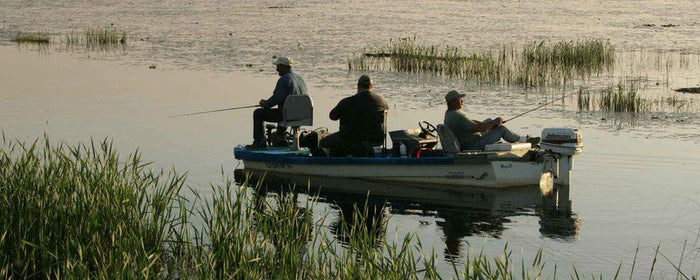 Can You Tell Which of These 15 