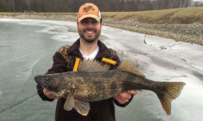 Ice Fisherman Catches Rare (And Huge) Saugeye!