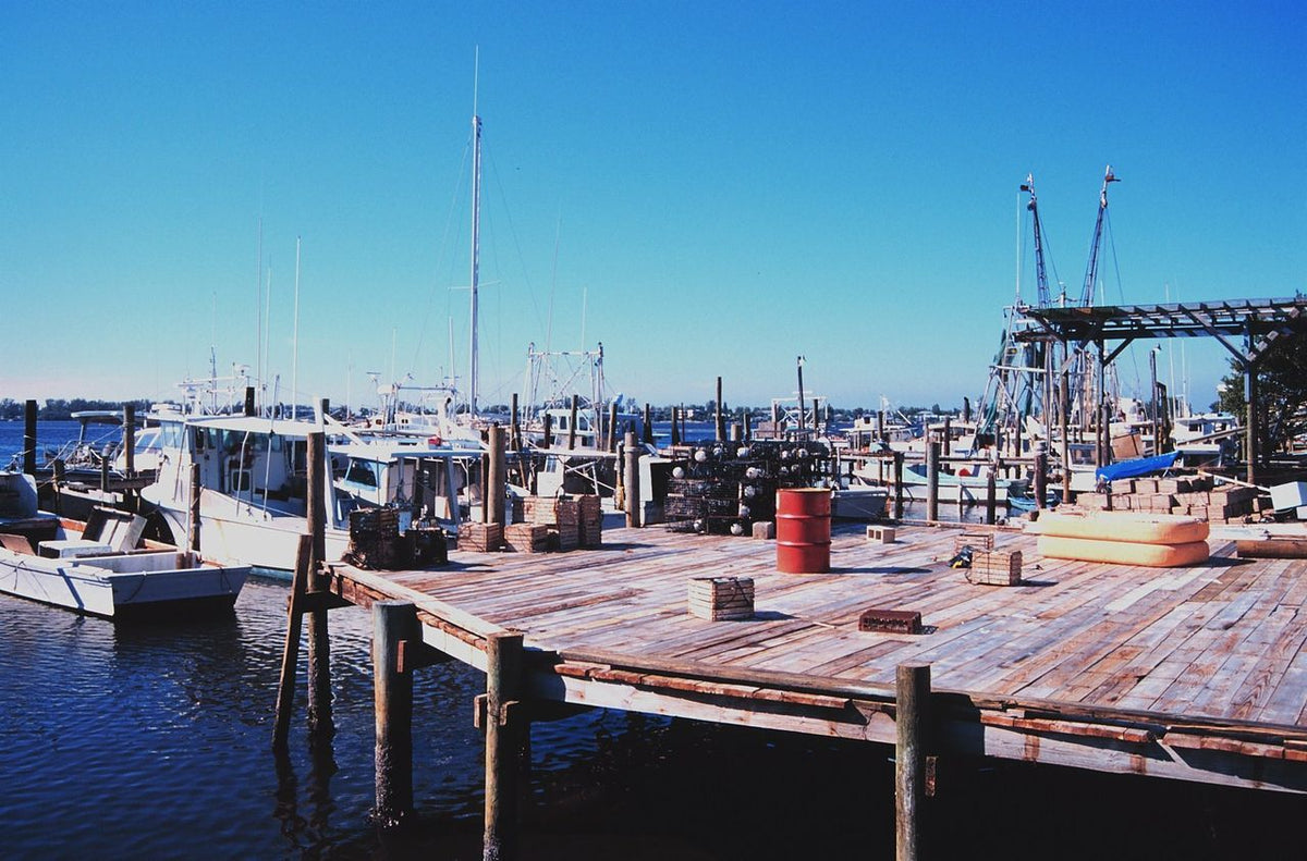 Best Florida Saltwater Fishing Destinations