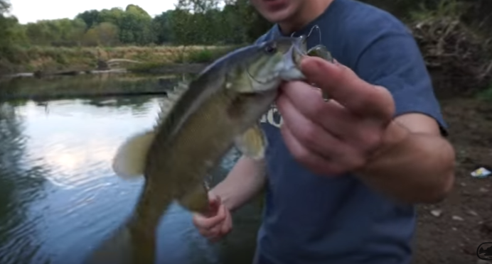 3 Presentations Made Better With Split Shots