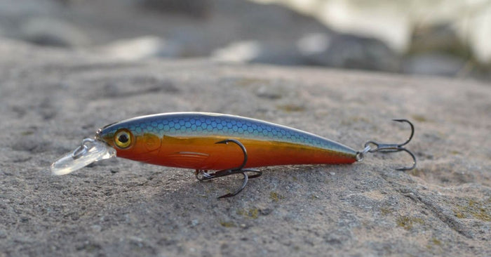 Catch Winter Bass With A Suspending Stickbait