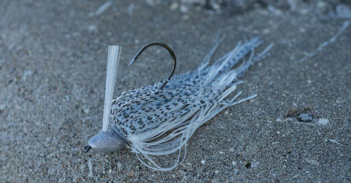 How To Choose The Proper Swim Jig Trailer
