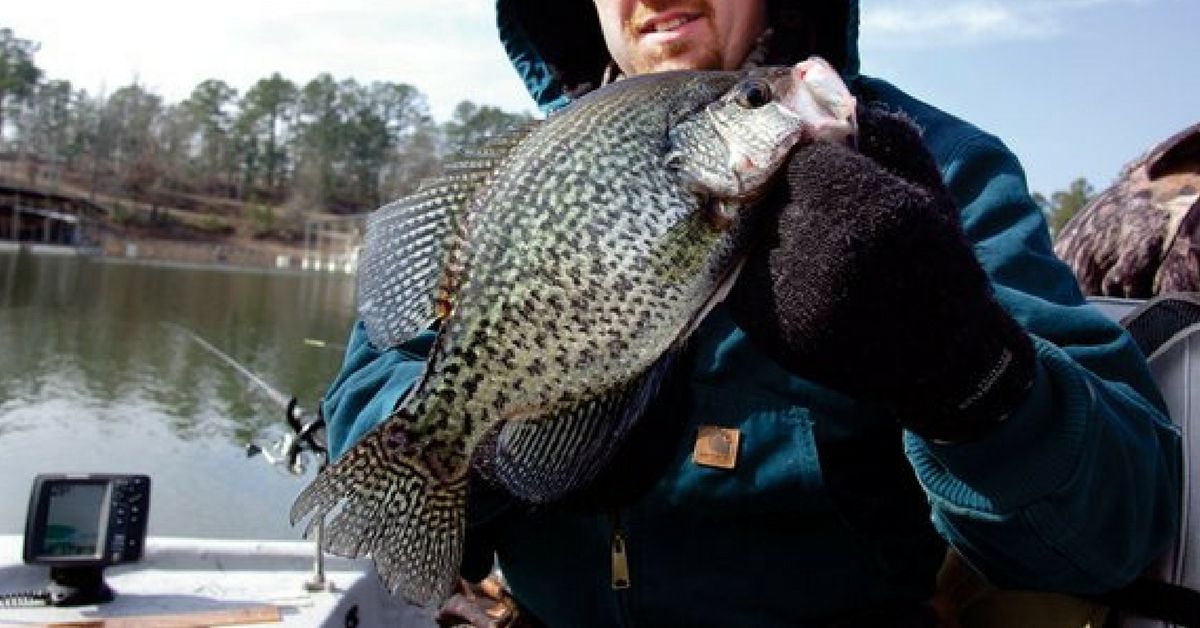 5 Spots You Need To Look For Winter Crappie