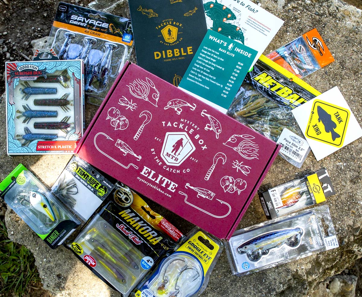 Elite Gift Credit | 12 Month