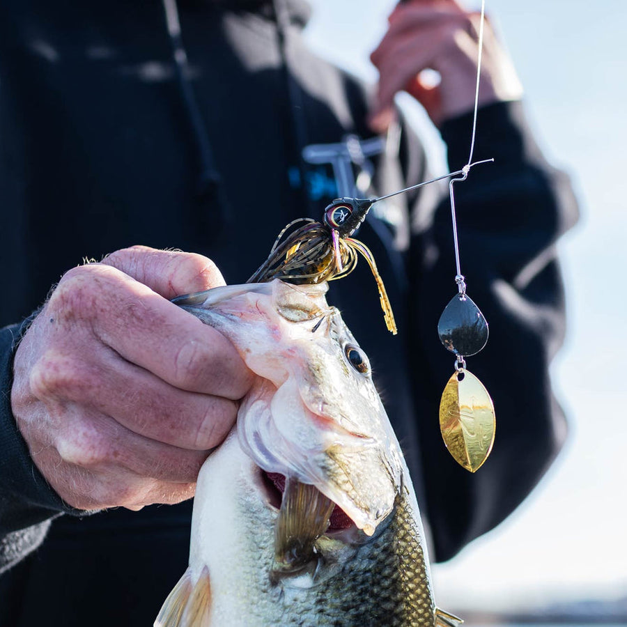 Intermediate angler