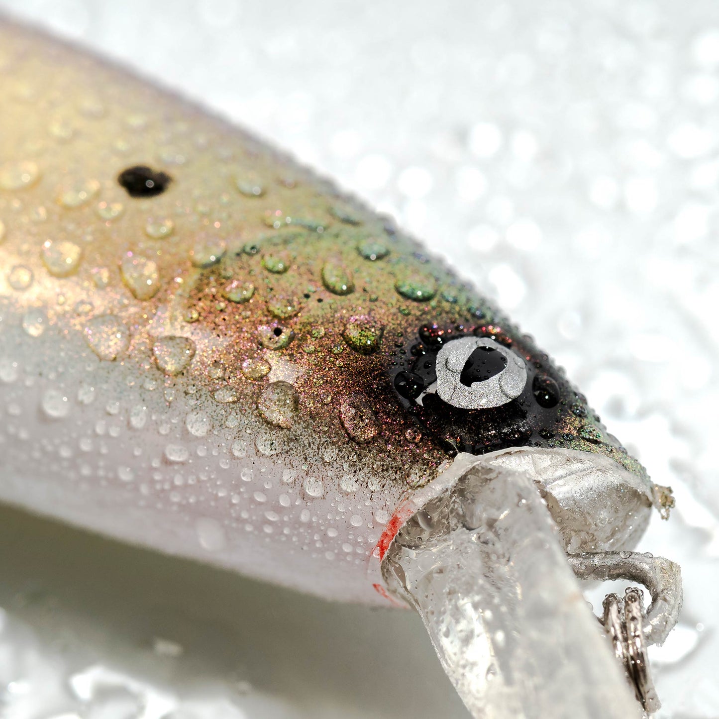Limited Edition Jekyll Baits Custom Painted Sassy Shad
