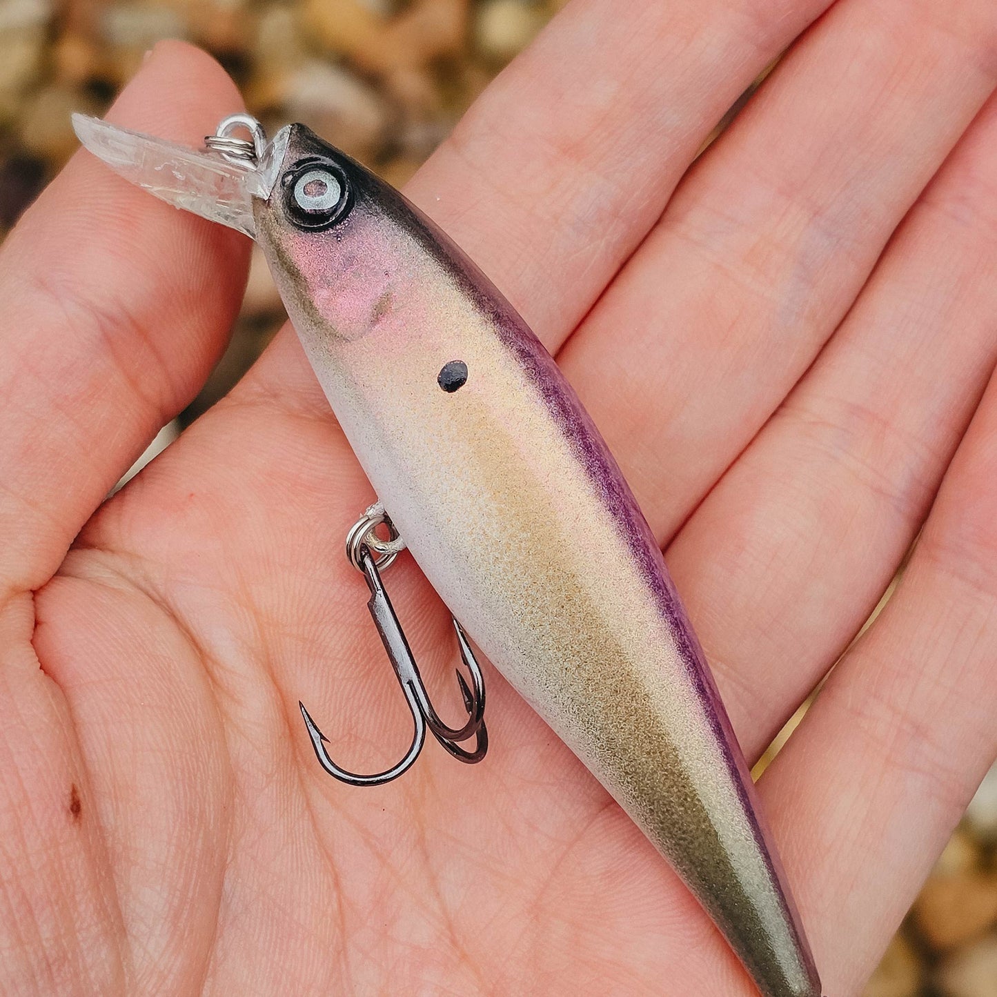 Limited Edition Jekyll Baits Custom Painted Sassy Shad