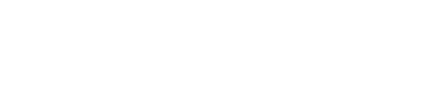Mystery Tackle Box