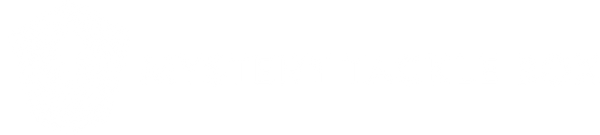 Mystery Tackle Box