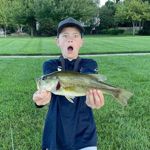MTB member catch