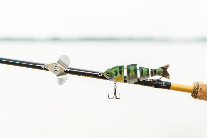 Your Ultimate Guide To Fall Topwater Fishing