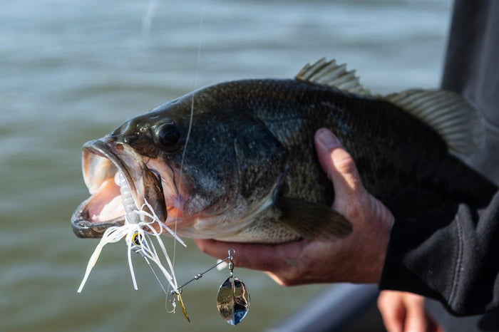 The Tight Rope Bite Getter Is Here!