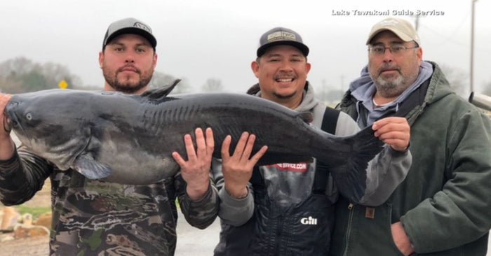 Texas State Record Channel Catfish Or Just A Nice Blue?