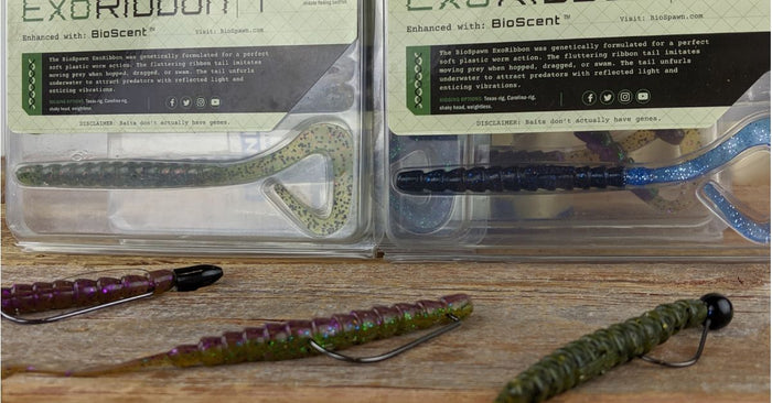 Everything You Need To Know About The BioSpawn ExoRibbon