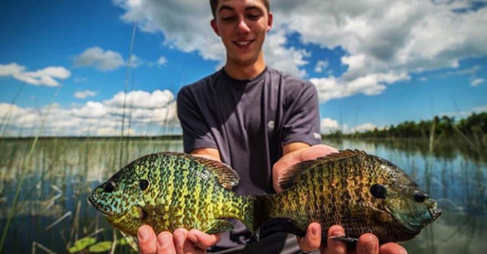7 Panfish Lures You Can Rely On All Year