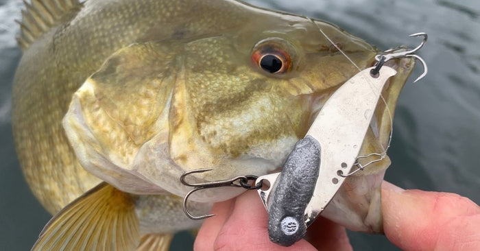 5 Cold Water Lures That Will Catch You More Bass