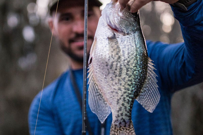 Why To Use A Telescopic Pole For Crappie Fishing