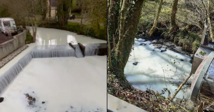 Got Milk? Over 7 Thousand Gallons Of Milk Spill Into A Welsh River