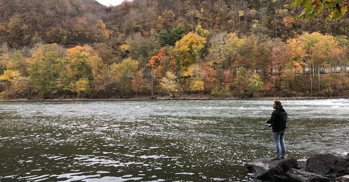 15 Basic Bass Fishing Tips For Fishing The Fall Transition