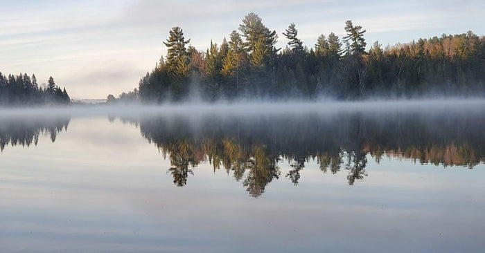 Is Fog Actually Good For Fishing? A Clear Breakdown On A Cloudy Subject