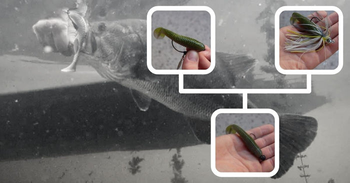 3 Simple Ways To Rig The Googan Squad Saucy Swimmer