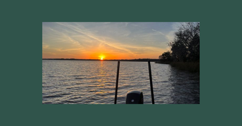 How To Target Bass At Night