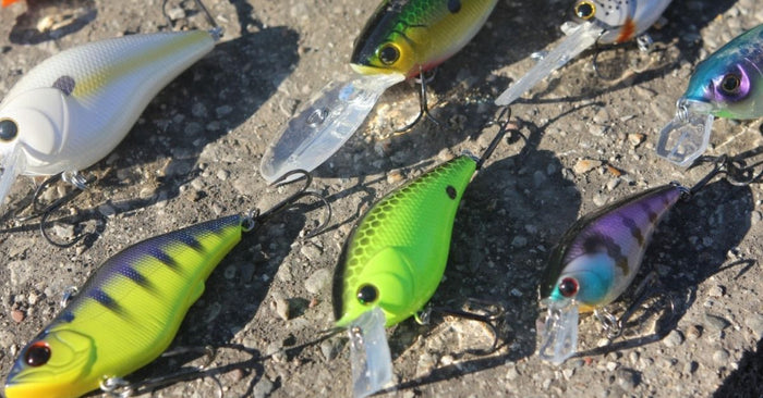 7 New Karl's Crankbaits That Absolutely Crush