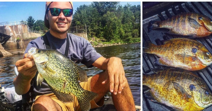 How To Select The Right Livebait For Panfish