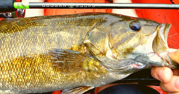 5 Tips To Becoming A Better Crankbait Angler