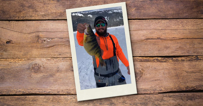 An Unbelievably Fat Perch Shatters The Idaho State Record