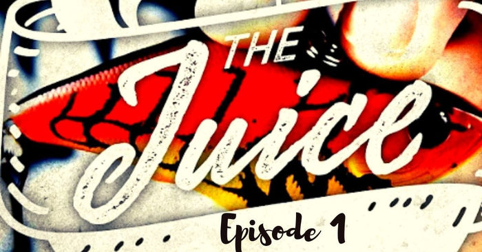 Breaking Down Karl’s Latest 🔥Baits! | New Jigs, Classic Cranks & More