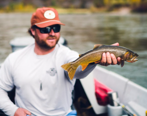 Trout