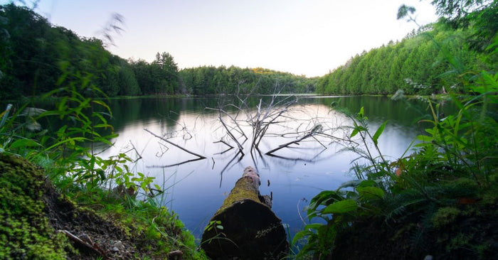 Keys To Unsnagging Your Lures