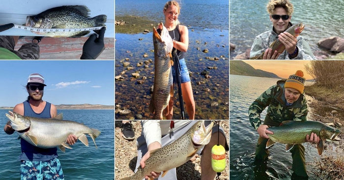 10 Record-Setting Fish Caught In Utah This Season