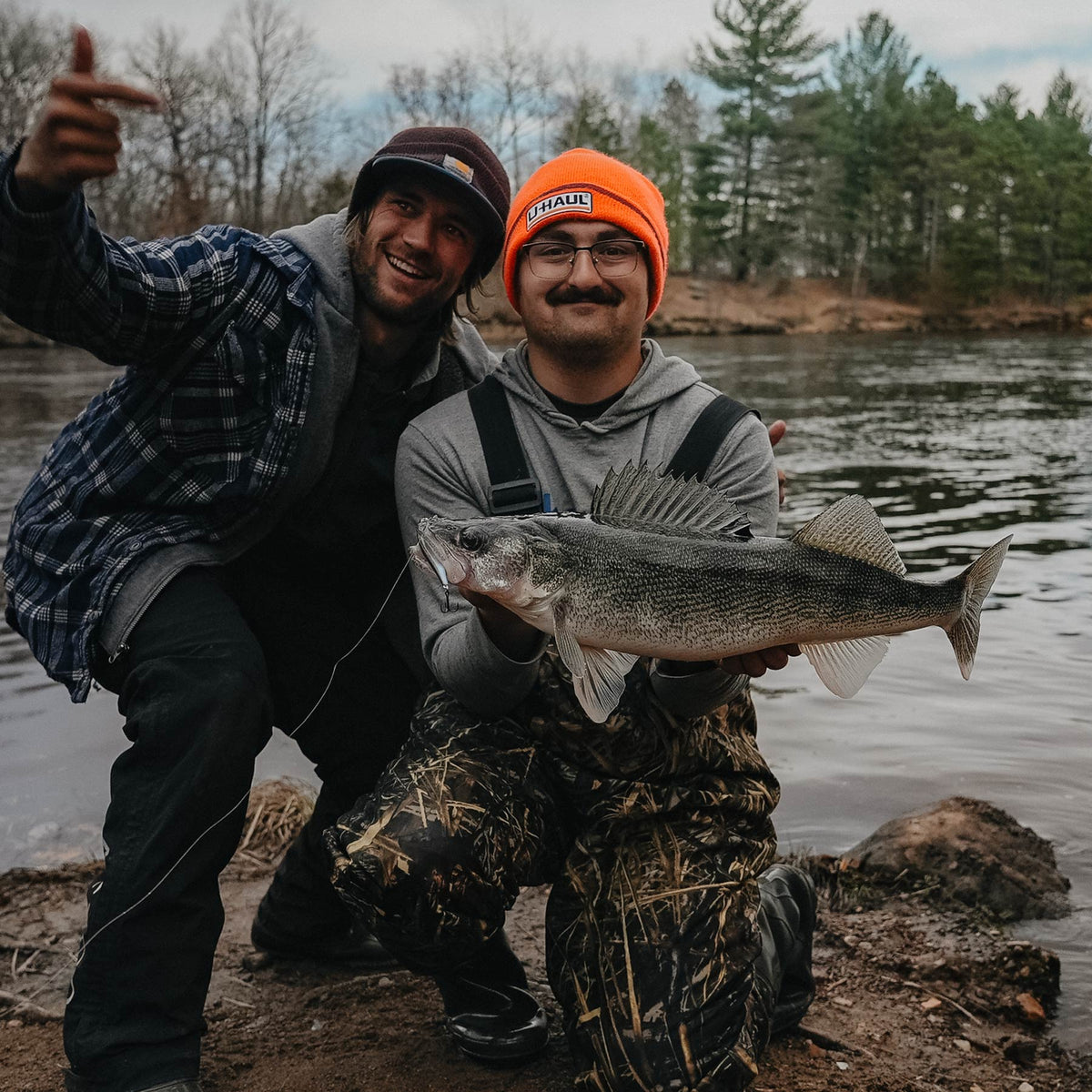 Walleye