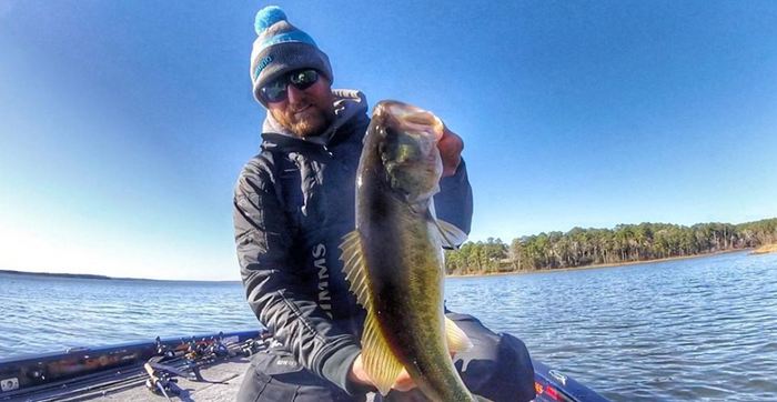Bass