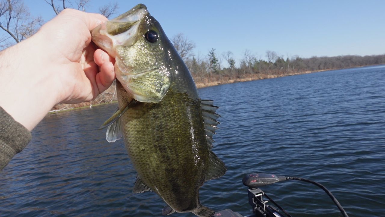 Fall Fish Movements: Where They Go & How To Catch Them – Mystery Tackle Box
